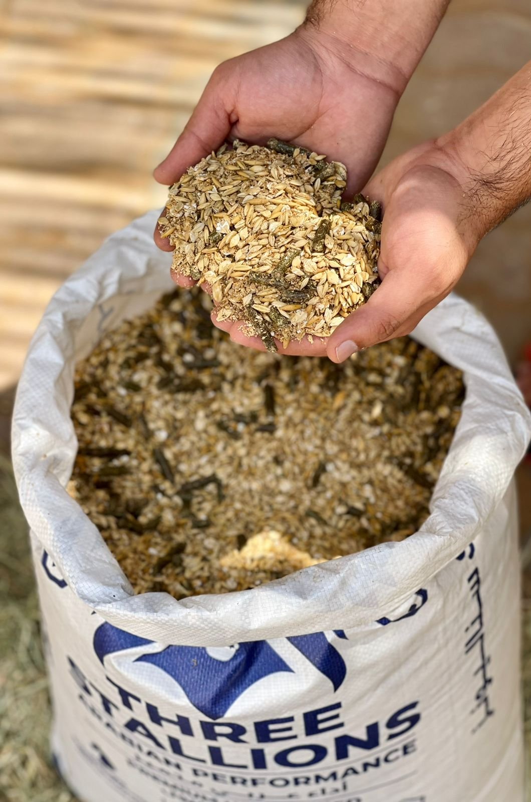  horse feed